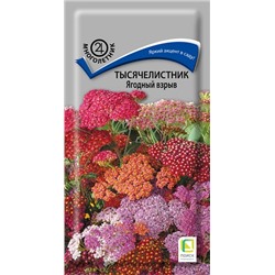 Тысячелистник Ягодный взрыв (Код: 92842)