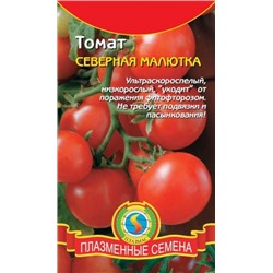 Томат Северная малютка (Плазма) 25шт