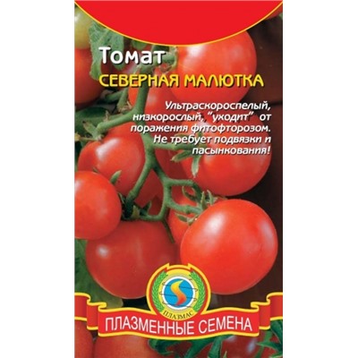 Томат Северная малютка (Плазма) 25шт