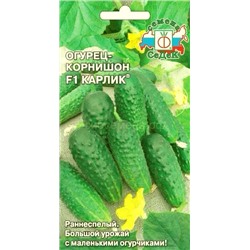 Огурец Карлик F1 (Седек)