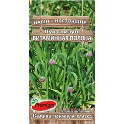 Лук  слизун Витаминная поляна (Премиум)