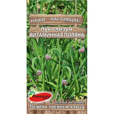 Лук  слизун Витаминная поляна (Премиум)
