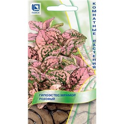 Гипоэстес Мрамор Розовый (Код: 93185)