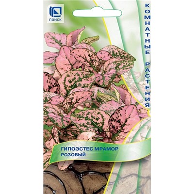 Гипоэстес Мрамор Розовый (Код: 93185)