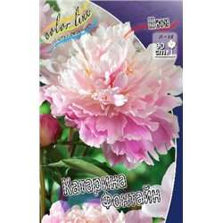 Пион Катарина Фонтайн  2/3 трав. 1шт (ИС)