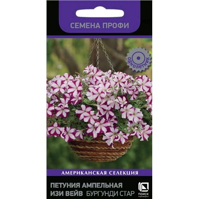 Петуния Изи Вейв Бургунди Стар F1 ампельная (П)