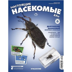Журнал №78 "Настоящие насекомые" С ВЛОЖЕНИЕМ! Долгоносик банановый