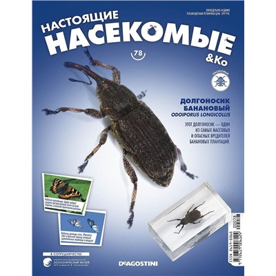 Журнал №78 "Настоящие насекомые" С ВЛОЖЕНИЕМ! Долгоносик банановый