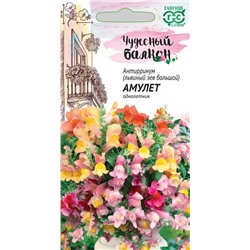 Львиный зев Амулет ампельный (Гавр)