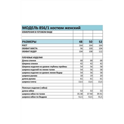 БагираАнТа 856/1, Юбка,  Рубашка