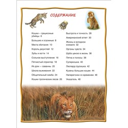 Большие кошки. 100 фактов