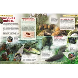 Джунгли. Детская энциклопедия