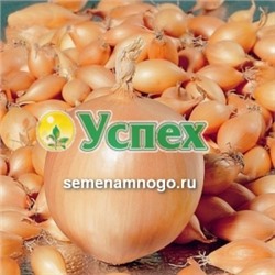 Лук-севок Бирнформиг(Birrnformige) 10/24 (Голландия) ~20кг