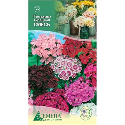 Гвоздика турецкая смесь окрасок, 0,4г (цв.)