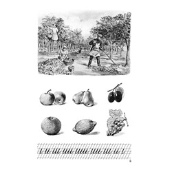 Букварь ч/б. Воскресенская А.И. 1952