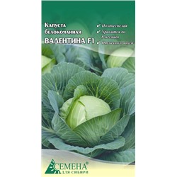 Капуста бк Валентина F1, 0,1г (цв.)