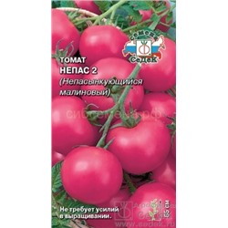 Томат Непасынкующийся Малиновый - Непас 2 (Седек)
