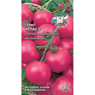 Томат Непасынкующийся Малиновый - Непас 2 (Седек)