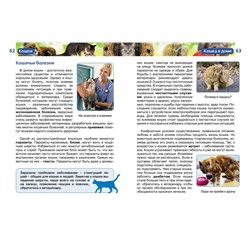 Кошки. Детская энциклопедия Росмэн