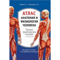 Атлас. Анатомия и физиология человека: полное практическое пособие. 2-е издание, дополненное