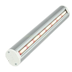 Фитосветильник Zema (Зема) ZML-0140 IP40 520мм