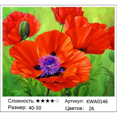 АМБП KWA0146, 40х50 см