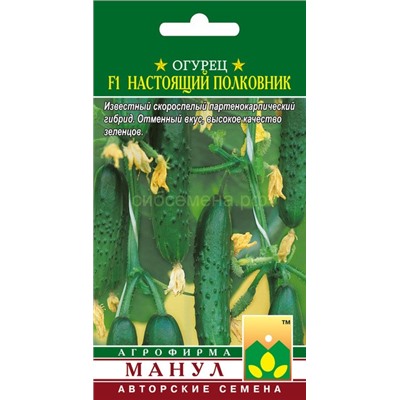 Огурец Настоящий полковник F1 (Манул)