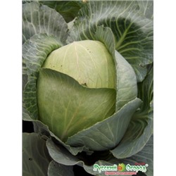 Капуста Крюмон F1 (НК) 0,15г
