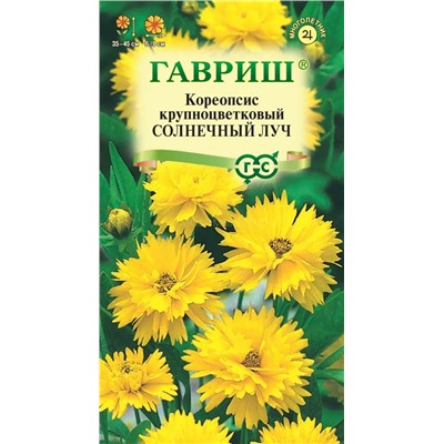 Кореопсис Солнечный луч Мн (Гавр)
