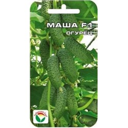 Огурец Маша F1 (Сиб.сад) 5шт