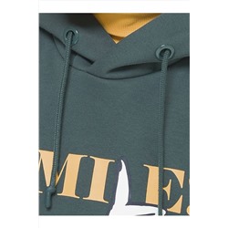 Толстовка PELICAN #799993