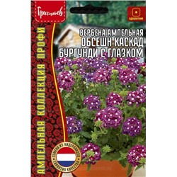 Вербена Обсешн Каскад Бургунди с глазком (Редкие)