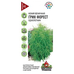 Кохия Грин Форест УС (Код: 92907)