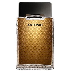 ANTONIO BANDERAS ANTONIO men  50 ml edt