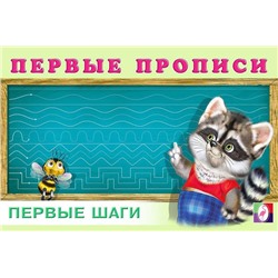 Прописи Первые.  Первые шаги 16стр. 21*14см (выпис.по 2шт.) 28879