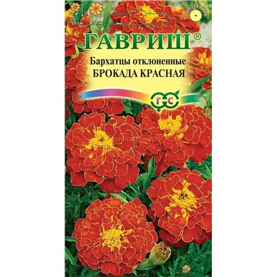 Бархатцы Брокада красная отклон. (Гавр)