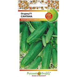 Огурец Сантана F1 (НК)