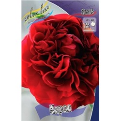 Пион Карол 2/3 трав. 1шт (ИС)