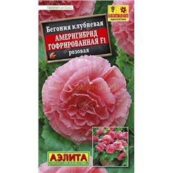 Бегония Америгибрид розовая гофрированная F1 (Аэлита)