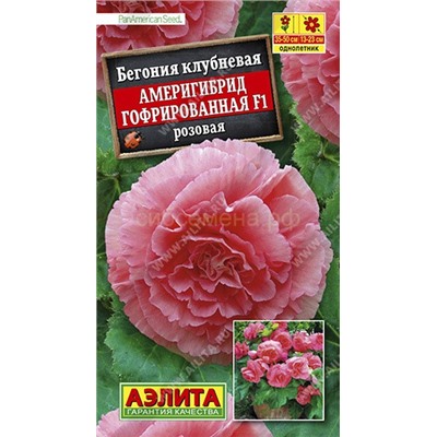 Бегония Америгибрид розовая гофрированная F1 (Аэлита)