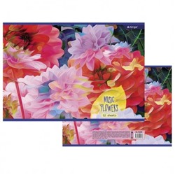 Альбом д/рисования 12л. Alingar Music flowers AL10205