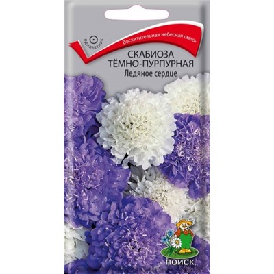 Цв.Скабиоза Ледяное сердце (Поиск) 10шт