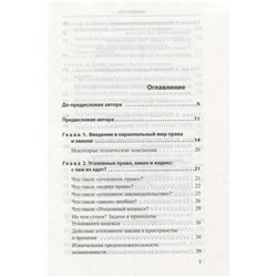 Дмитрий Усольцев: Уголовное право для начинающих