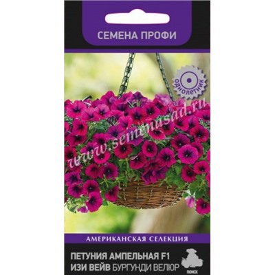 Цв.Петуния Изи Вейв Бургунди Велюр F1 амп. (Поиск) 5шт