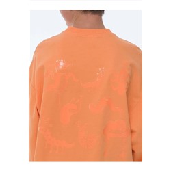 Свитшот PELICAN #835848