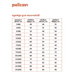 BFVV3320 (Майка верхняя для мальчика, Pelican Outlet )