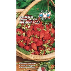 Земляника  Времена года (Седек)