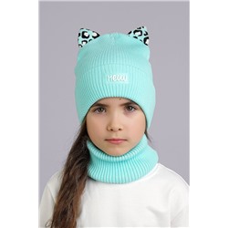 Шапка CLEVER #971424