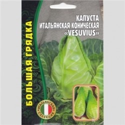 Капуста Везувий (Vesuvius) Итальянская коническая (Григорьев) 0,2г