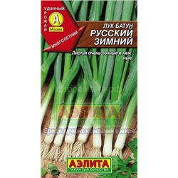 Лук  батун Русский зимний (Аэлита)
